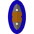 Blue D-hide Shield (item).png