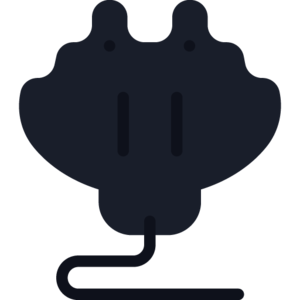 Burnt Manta Ray (item).png