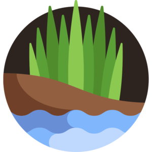 Swamp (biome).png