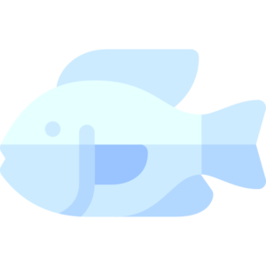 Raw Tilapia (item).png