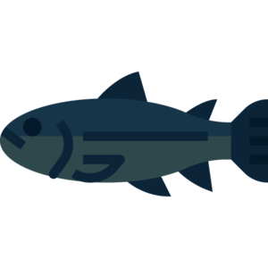 Burnt Herring (item).png