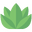 Oxilyme Herb