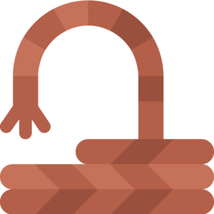 Rope (item).png