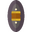 (U) Revenant Shield