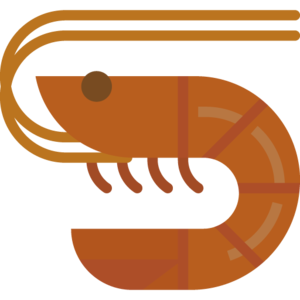 Shrimp (item).png