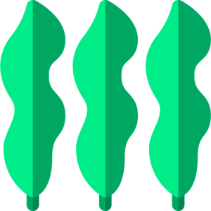 Kelp (item).png