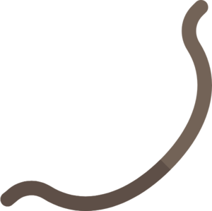 Carrion Shortbow (u) (item).png