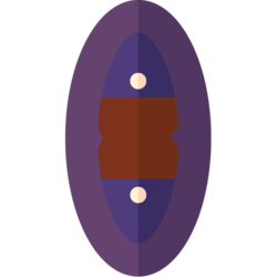 Scaled Shield