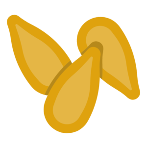 Starfruit Seeds (item).png