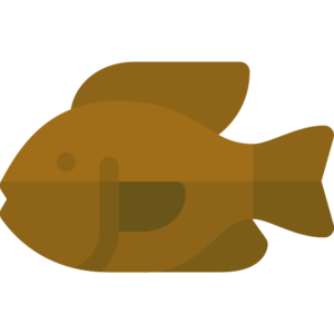 Tilapia (item).png