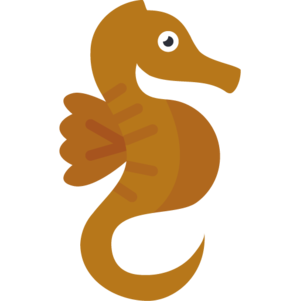 Seahorse (item).png