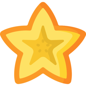 Starfruit (item).png