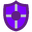Enchanted Shield