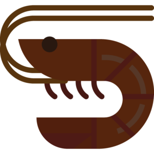 Burnt Shrimp (item).png