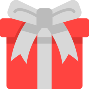 Christmas Present (Standard) (item).png