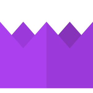 Purple Party Hat (item).png