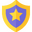Blessed Shield