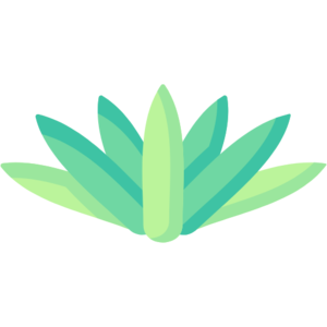 Wildflower (item).png