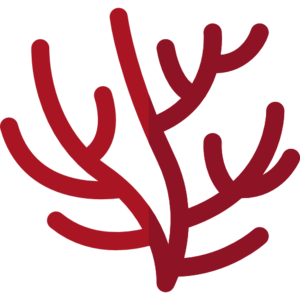 Coral (item).png