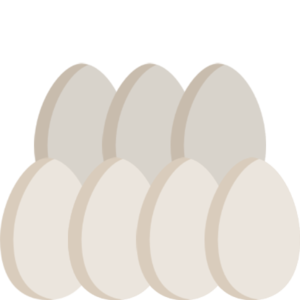 Spider Queen Eggs (item).png