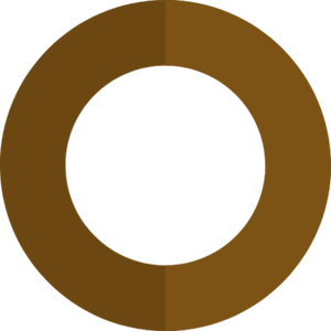 Bronze Ring (item).png