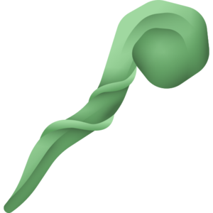 Rotten Staff (item).png