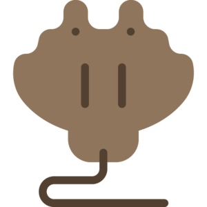 Manta Ray (item).png