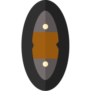 Black D-hide Shield (item).png