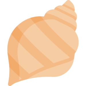 Large Shell (item).png