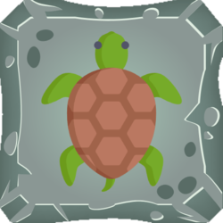 Tortoise