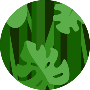 Jungle (biome).png